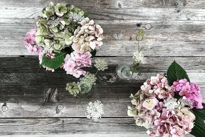 flores