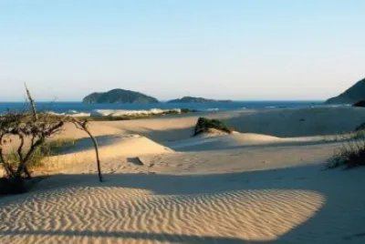 Dunas - Praia dos Ingleses - Floripa - SC