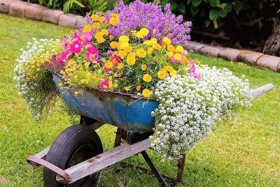 flores