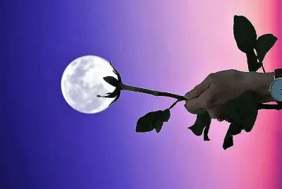 arte