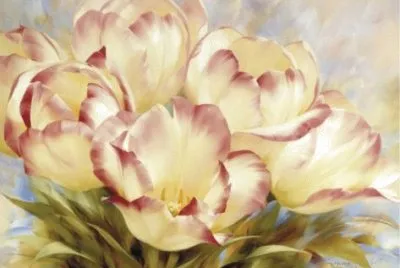 tulip