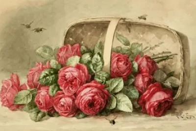 rose