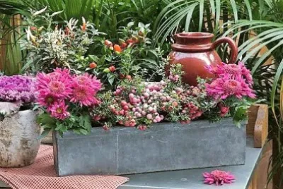 flores
