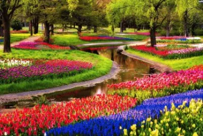 colorful flower garden