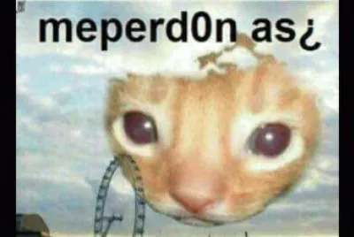 pepe123