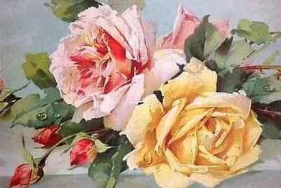 rose