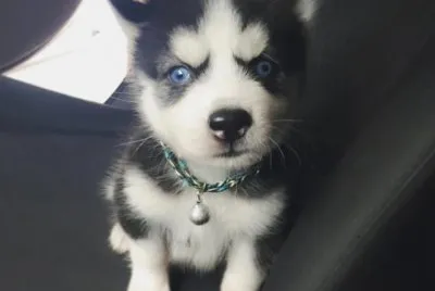 â™¥