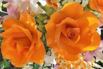 flores