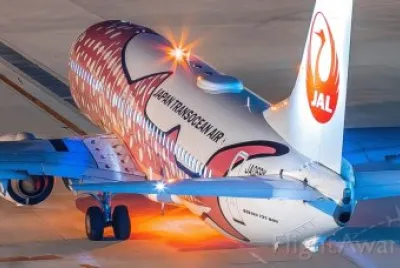 Japan Airlines Boeing B737 800 Japon