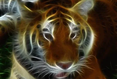 tigre