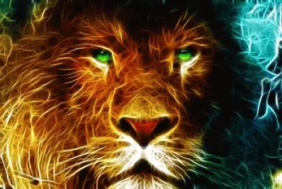 lion 1