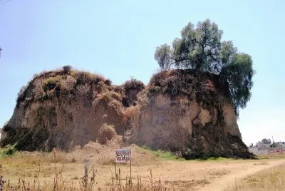 Ãrbol en Cholula, Puebla.