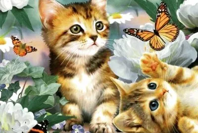 imagem