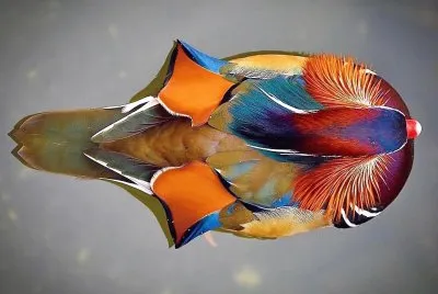 natural