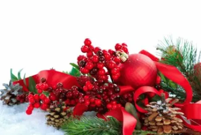 Xmas Decor