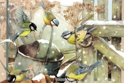 birds