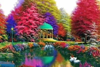 colorful flower garden