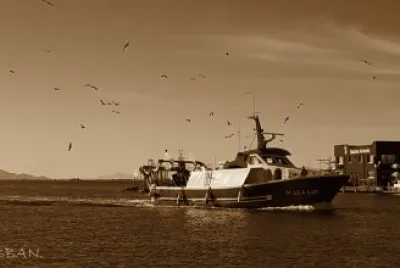 Santa Pola Alicante jigsaw puzzle