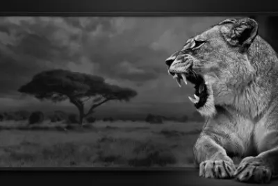 Lionne