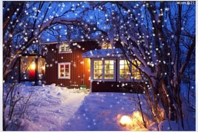 Christmas Night