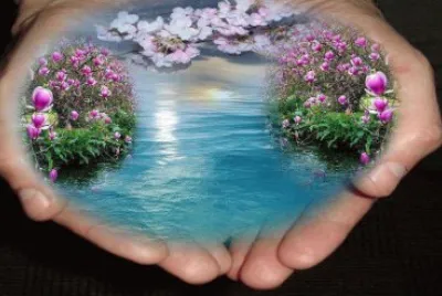 imagem