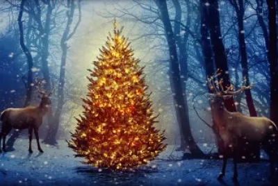 Natal
