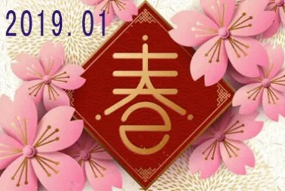 2019.01