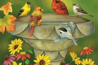 birds jigsaw puzzle