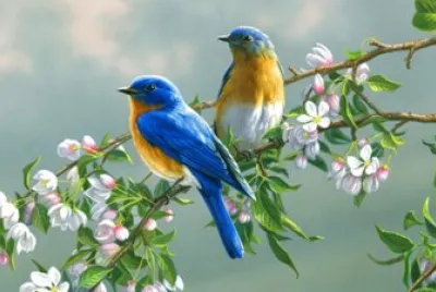 Oiseaux sur une branche.