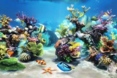 Aquarium