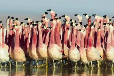 176