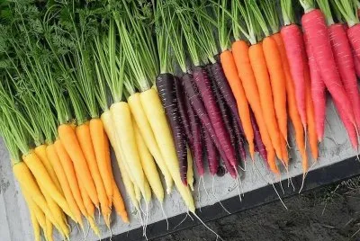 cores
