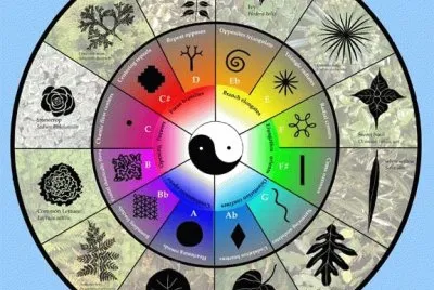 Taoismo jigsaw puzzle