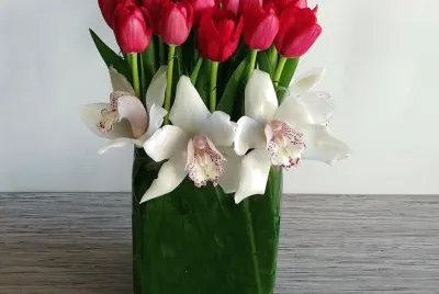 MESA TULIPAN