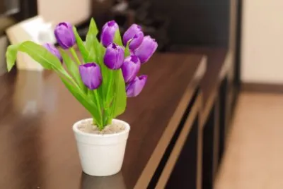 MESA TULIPAN MORADO