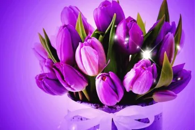 REGALO MORADO