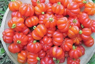 frutas