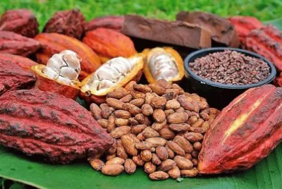 frutos