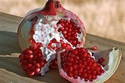 frutas