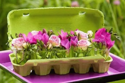 flores