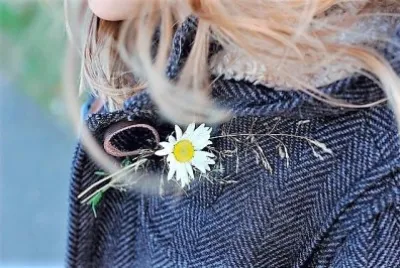 flores