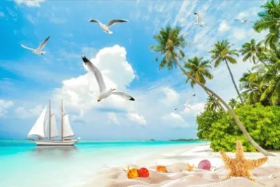 å¸†èˆ¹æµ·æ™¯