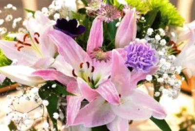 פאזל של Flowers