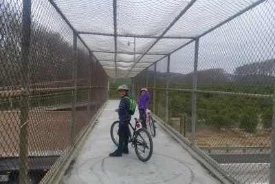 Morning ride