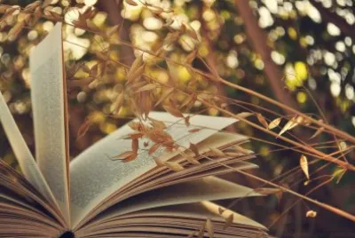 libro en naturaleza