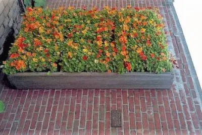 flores jigsaw puzzle