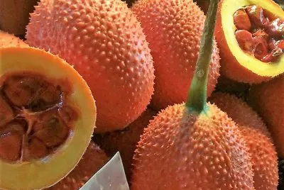 frutas jigsaw puzzle