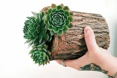 natural