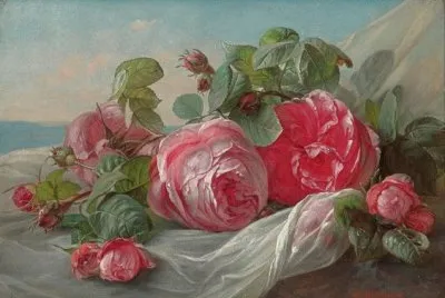 rose
