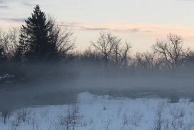 Fog on a snowy morning!   'magine that!